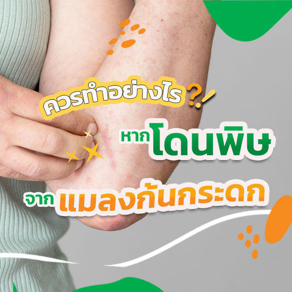 พิษจากแมลง